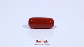 Red Coral - 7.2 Carat