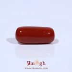Red Coral - 7.2 Carat