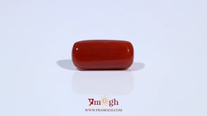 Red Coral - 7.04 Carat