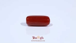Red Coral - 7.1 Carat