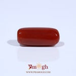 Red Coral - 7.1 Carat