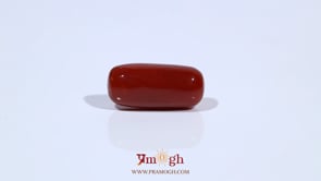 Red Coral - 7.02 Carat