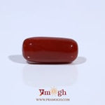 Red Coral - 7.02 Carat