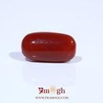Red Coral - 7.22 Carat