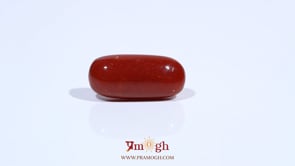 Red Coral - 7.09 Carat
