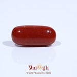 Red Coral - 7.09 Carat