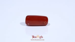 Red Coral - 7.2 Carat