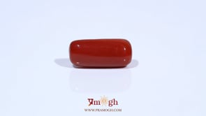 Red Coral - 6.99 Carat
