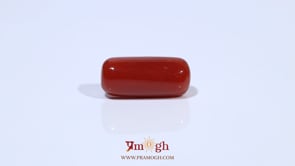 Red Coral - 7.03 Carat