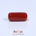 Red Coral - 7.03 Carat
