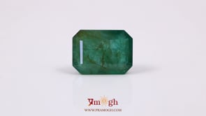 Zambian Emerald - 11.95 Carat