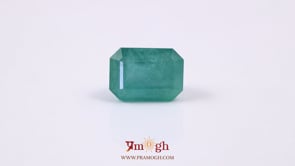 Zambian Emerald - 9.15 Carat