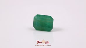 Zambian Emerald - 9.1 Carat