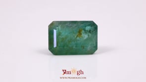 Zambian Emerald - 14.5 Carat