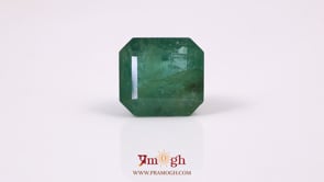 Zambian Emerald - 12.6 Carat