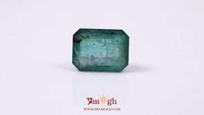 Zambian Emerald - 7.9 Carat