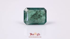 Zambian Emerald - 7.75 Carat