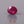 Load and play video in Gallery viewer, Ruby - 3.71 Carat
