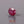 Load and play video in Gallery viewer, Ruby - 3.35 Carat

