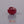 Load and play video in Gallery viewer, Ruby - 3.4 Carat
