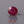 Load and play video in Gallery viewer, Ruby - 4.85 Carat
