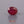 Load and play video in Gallery viewer, Ruby - 3.75 Carat
