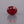 Load and play video in Gallery viewer, Ruby - 4.4 Carat
