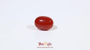 Japanese Red Coral - 3.11 Carat