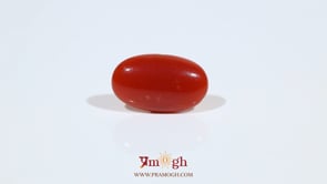 Japanese Red Coral - 3.9 Carat
