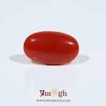 Japanese Red Coral - 3.9 Carat