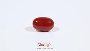 Japanese Red Coral - 4.25 Carat
