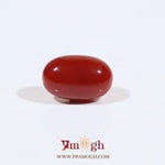 Japanese Red Coral - 4.25 Carat