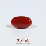 Japanese Red Coral - 3 Carat