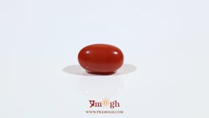 Japanese Red Coral - 3 Carat