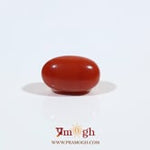 Japanese Red Coral - 3 Carat