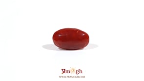 Japanese Red Coral - 3.6 Carat