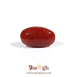 Japanese Red Coral - 3.6 Carat