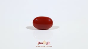 Japanese Red Coral - 2.75 Carat
