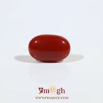 Japanese Red Coral - 2.75 Carat