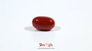 Japanese Red Coral - 5.15 Carat