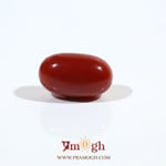 Japanese Red Coral - 5.15 Carat