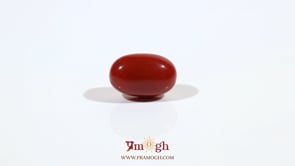 Japanese Red Coral - 3.8 Carat