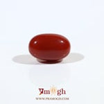 Japanese Red Coral - 3.8 Carat