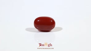 Japanese Red Coral - 4.57 Carat
