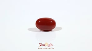 Japanese Red Coral - 3.03 Carat