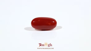 Japanese Red Coral - 3.15 Carat