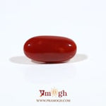 Japanese Red Coral - 3.15 Carat