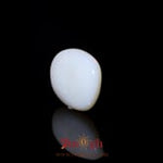 Opal - 5.7 Carat