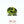 Load and play video in Gallery viewer, Peridot - 6.3 Carat
