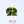 Load and play video in Gallery viewer, Peridot - 6.7 Carat

